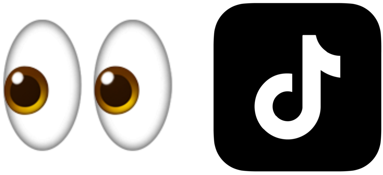 See TikTok Logo